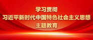 男人的jj捅女人洞口网站学习贯彻习近平新时代中国特色社会主义思想主题教育_fororder_ad-371X160(2)